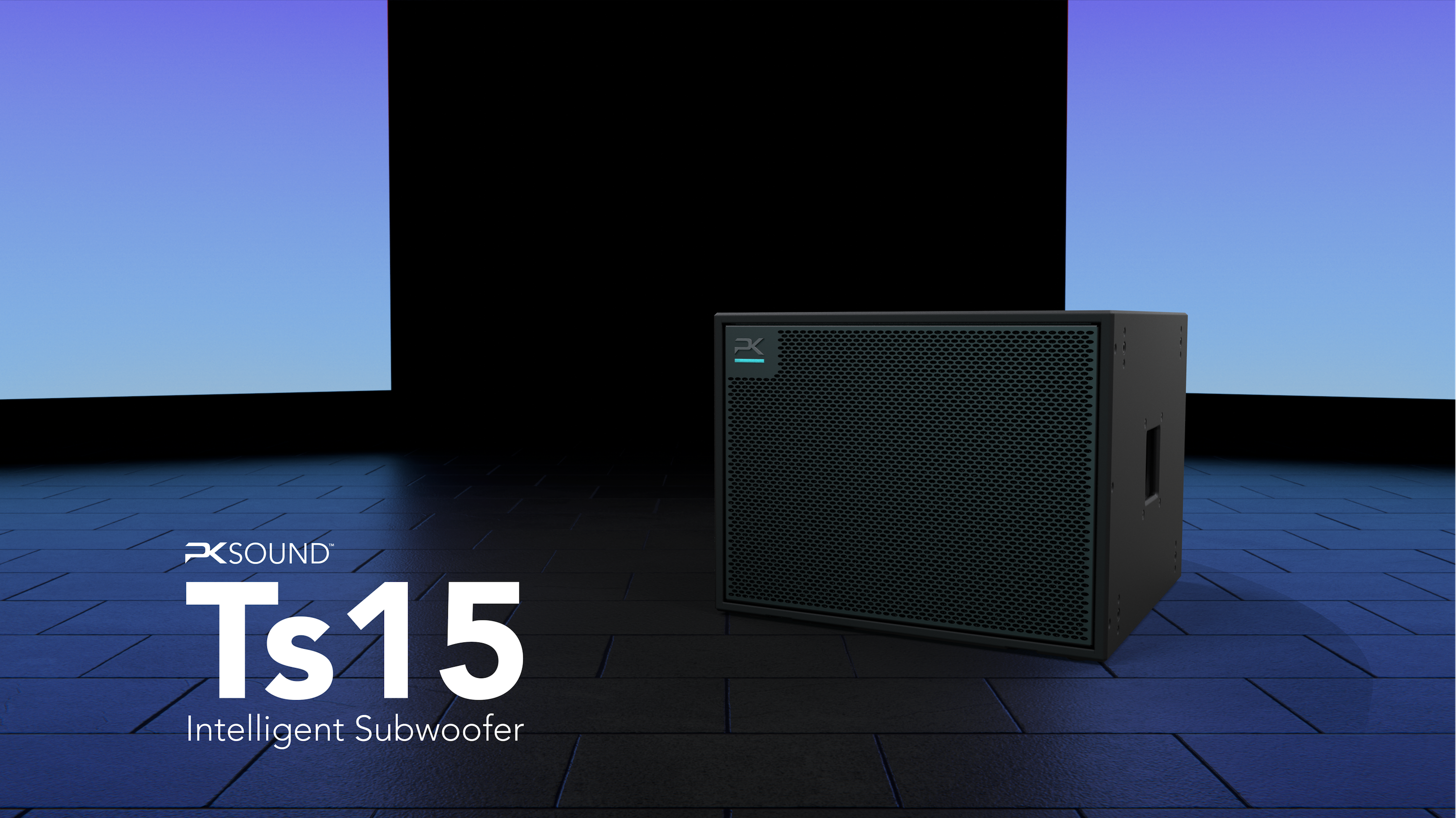 PK Sound Ts15 Compact Intelligent Subwoofer